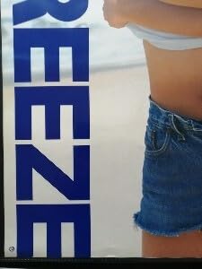 Amazon.co.jp: 持田香織 Every Little Thing SEA BREEZE ポスター